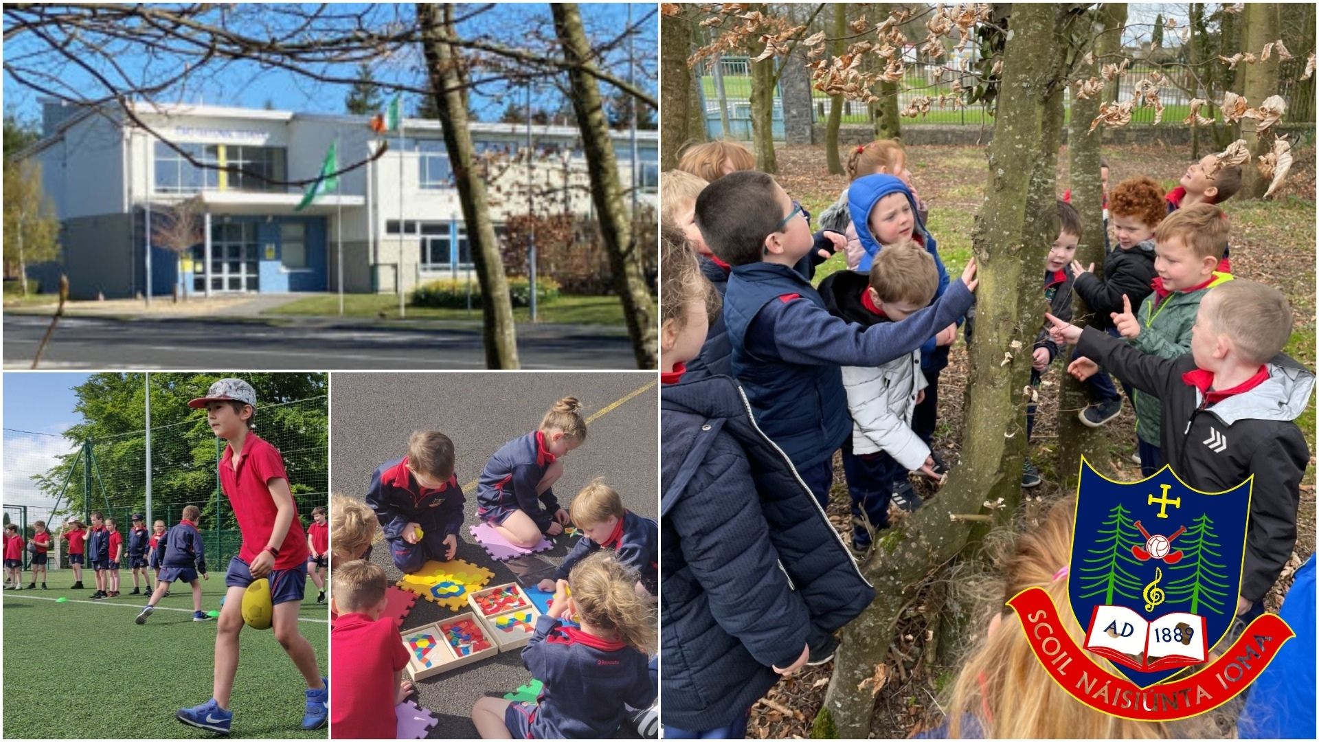 Two new special education needs classrooms granted for Laois primary school