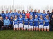 Laois team pictured ahead of the league opener against Kildare