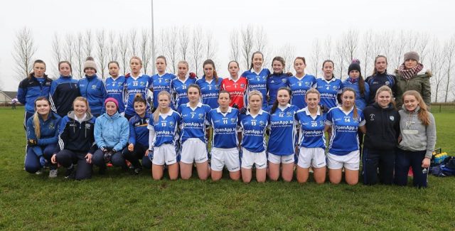 Laois team pictured ahead of the league opener against Kildare