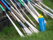 The Laois U-17 Celtic Challenge panel has been named