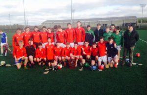 The victorious Clonaslee team after their win