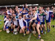 Mary Immaculate College celebrate after winning the Fitzgibbon Cup
