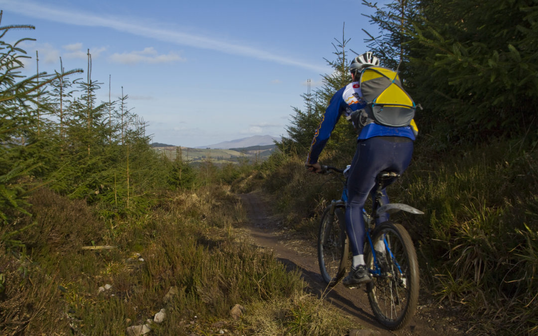 Slieve bloom mountain bike sales trail