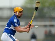 Cha Dwyer and has teammates had a tough experience in Limerick this afternoon