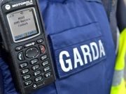 Gardai