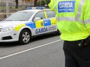 Gardaí are appealing for witnesses to a hit and run