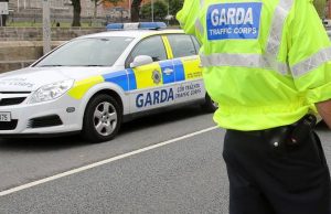 Gardaí are appealing for witnesses to a hit and run