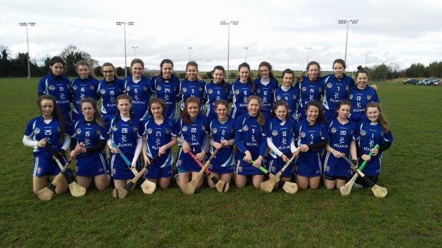 The Laois minor camogie team