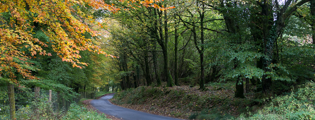 slieve bloom mountain bike trail
