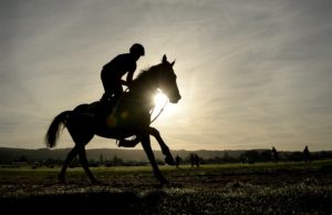 The 2017 Cheltenham festival gets underway tomorrow