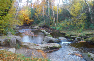 The Clodaigh River is at risk of contamination from raw sewage, a councillor has warned