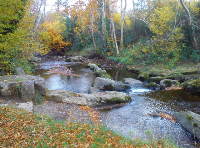 The Clodaigh River is at risk of contamination from raw sewage, a councillor has warned