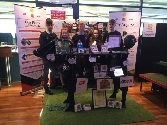 The Coláiste Íosagáin students in Croke Park ahead of the presentation