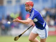 Laois hurler Matthew Whelan