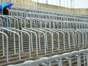 Laois GAA is full of wonderful nicknames and here is an updated list of them