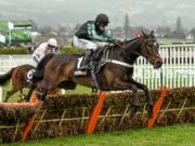 Altior on his way to winning the Supreme Novices Hurdlre in Cheltenham in 2016