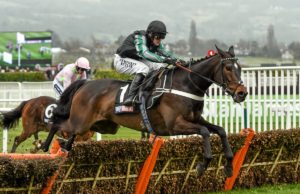 Altior on his way to winning the Supreme Novices Hurdlre in Cheltenham in 2016