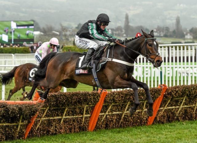 Altior on his way to winning the Supreme Novices Hurdlre in Cheltenham in 2016