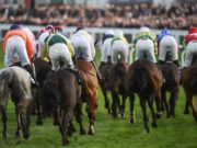 There are seven more races on the card for day two of Cheltenham