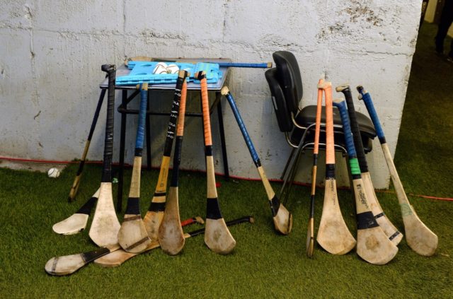 The Laois minor hurling panel has been named