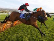 Peregrine Run - owned by Gracefield man Vinny Byrne - is the second favourite for the Coral Cup at 2.50pm today
