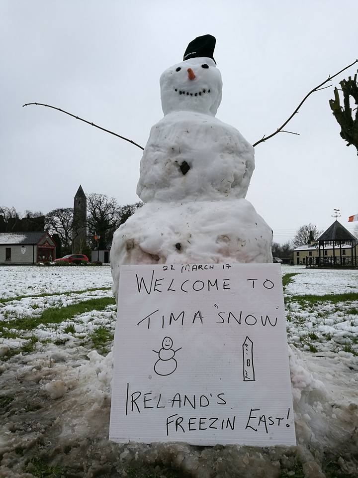 Snow in Timahoe