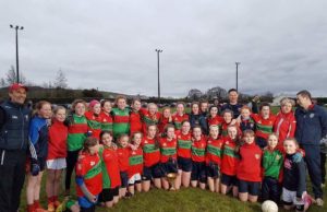 The Timahoe Ladies team who were crowned Feile champions last night