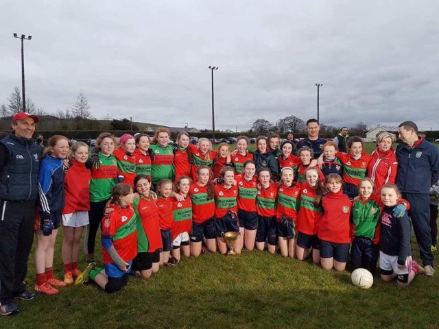 The Timahoe Ladies team who were crowned Feile champions last night