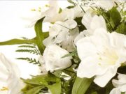 Deaths in Laois