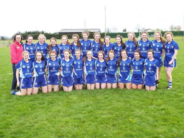 The Laois camogie team who beat Carlow