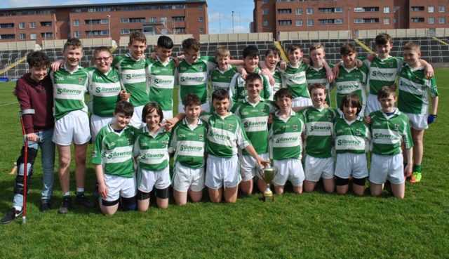 The victorious Rosenallis team who won the Laois Feile 'A' hurling title at the weekend