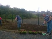 The Stradbally Allotments