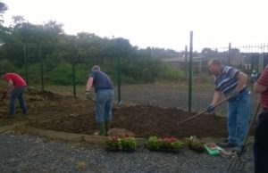 The Stradbally Allotments