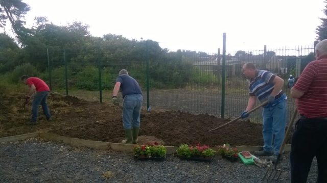 The Stradbally Allotments