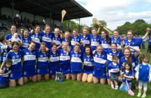 Laois celebrate after winning the Leinster intermediate camogie final in Birr