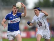 Review of the year for the Laois senior footballers