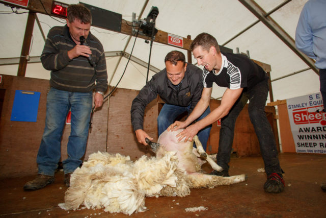 Ploughing 2016 High Res JEFF 137