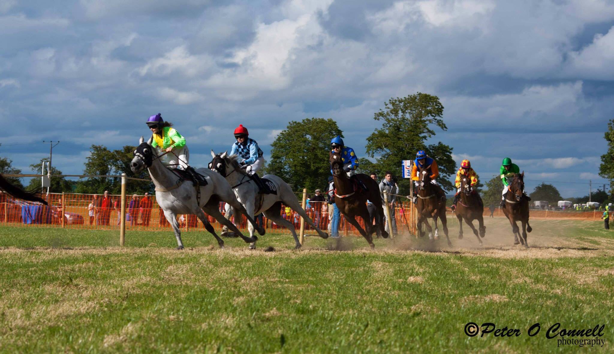 Horse and Pony racing in Killenard promises a great day out