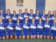 The Laois camogie team who took on Meath in the All-Ireland Intermediate championship today