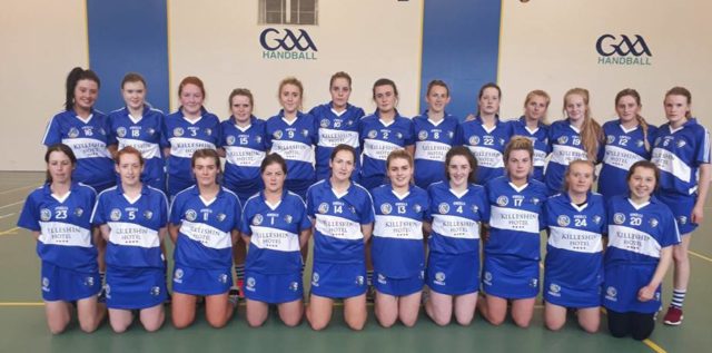 The Laois camogie team who took on Meath in the All-Ireland Intermediate championship today