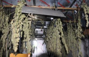 Following a house fire, gardai found the drugs in the house