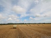 Laois farmers are left out