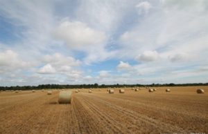 Laois farmers are left out