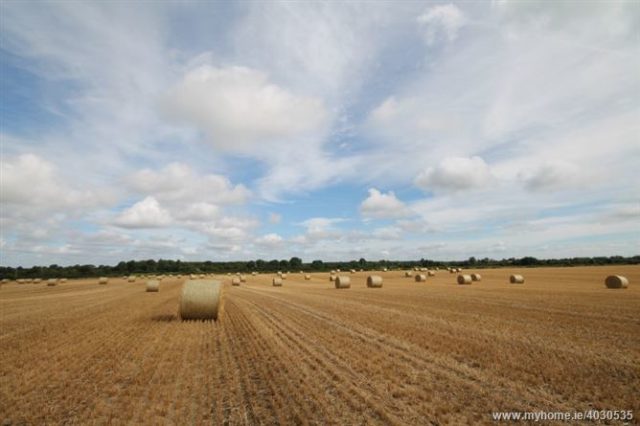 Laois farmers are left out