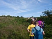 The Laois Walks Festival, which runs for the month of July, gets underway this weekend