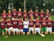 The Ballinakill-Park-Ratheniska Gaels team who beat Clough-Ballacolla in the Minor B Hurling league final