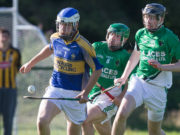 Colt began life with Clonad by beating Shanahoe Gaels this evening