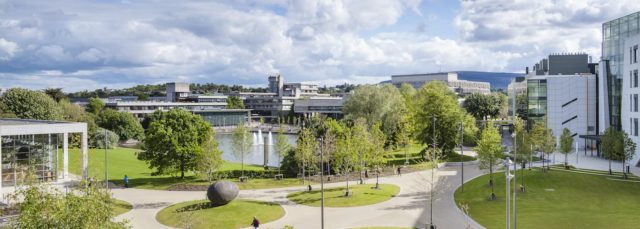 UCD