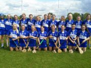 The Laois camogie team who took on Cork today
