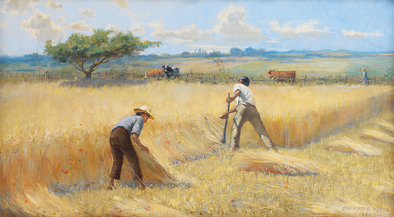 Fr Paddy: August – A time to harvest